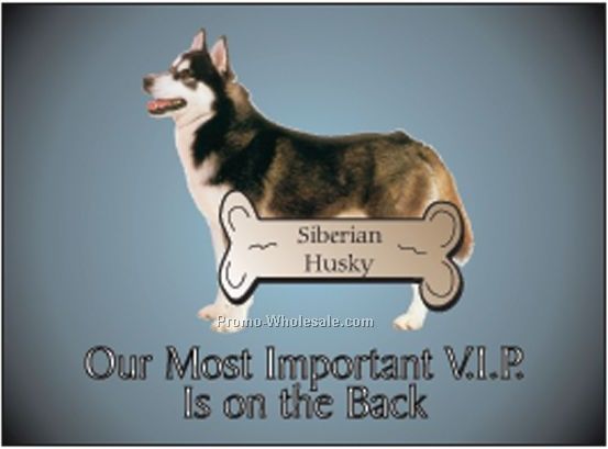 Siberian Husky Photo Hand Mirror W/ Full Back Mirror (3-1/8"x2-1/8")