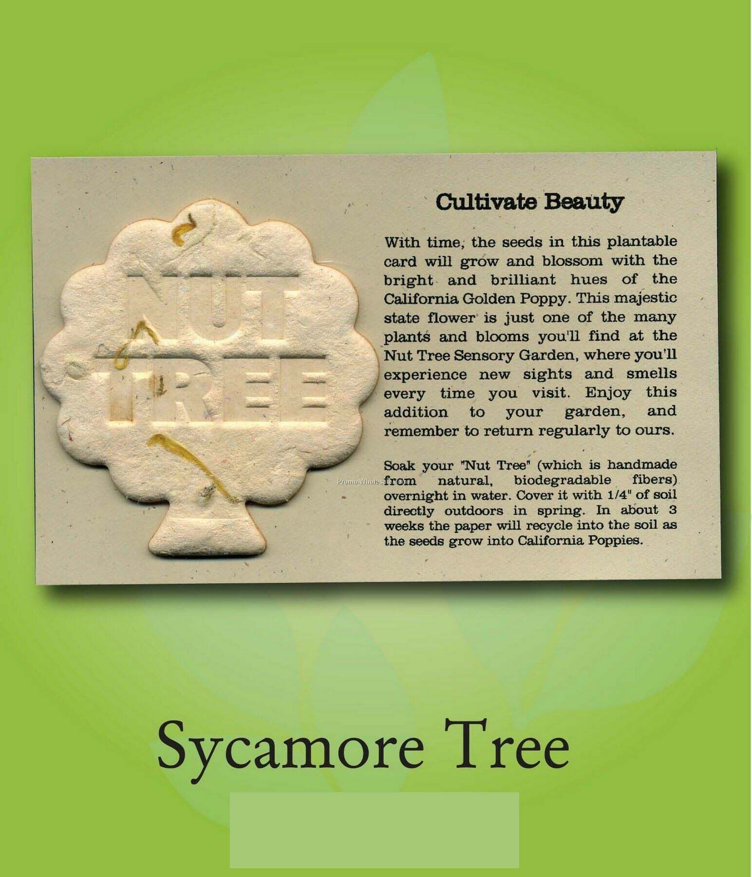 Sycamore Tree Ornament W/ Embedded Seed