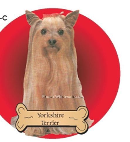 Yorkshire Terrier Acrylic Coaster W/ Felt Back