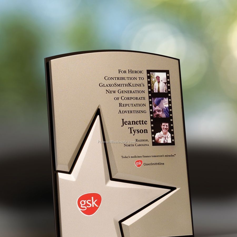 Adcast Award Plaque W/ Replicafinish & Photo Upper Right - 8"x10"