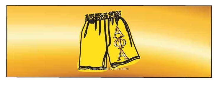 Alpha Phi Panoramic Fraternity Shorts Badge W/ Metal Pin (1-5/8"x4-5/8")