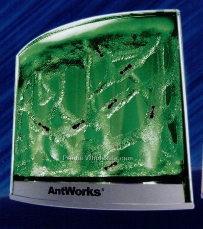 Antworks Illuminated Combo Set W/ Green LED Light