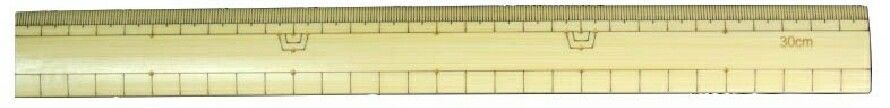 Bamboo Ruler