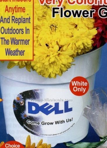 Blue, Red & White Mix All-in-1 Flower Garden Seed Kit W/ Gropot