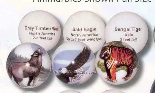 Collectible Art Marbles - Animarble Keytags
