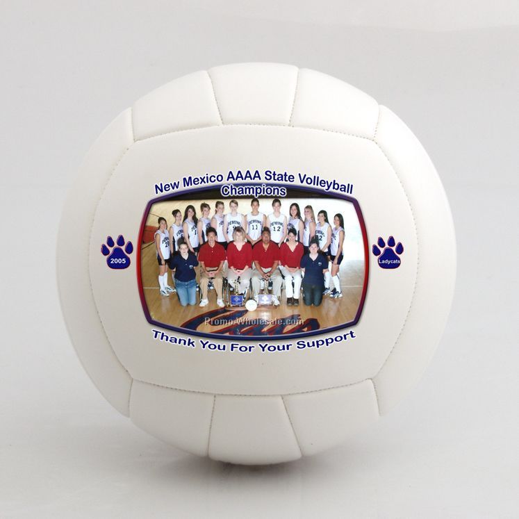 Deluxe Printing Volleyball Synthetic Official Size