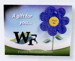 Lil Bloomer Gift Card/Business Card Holder