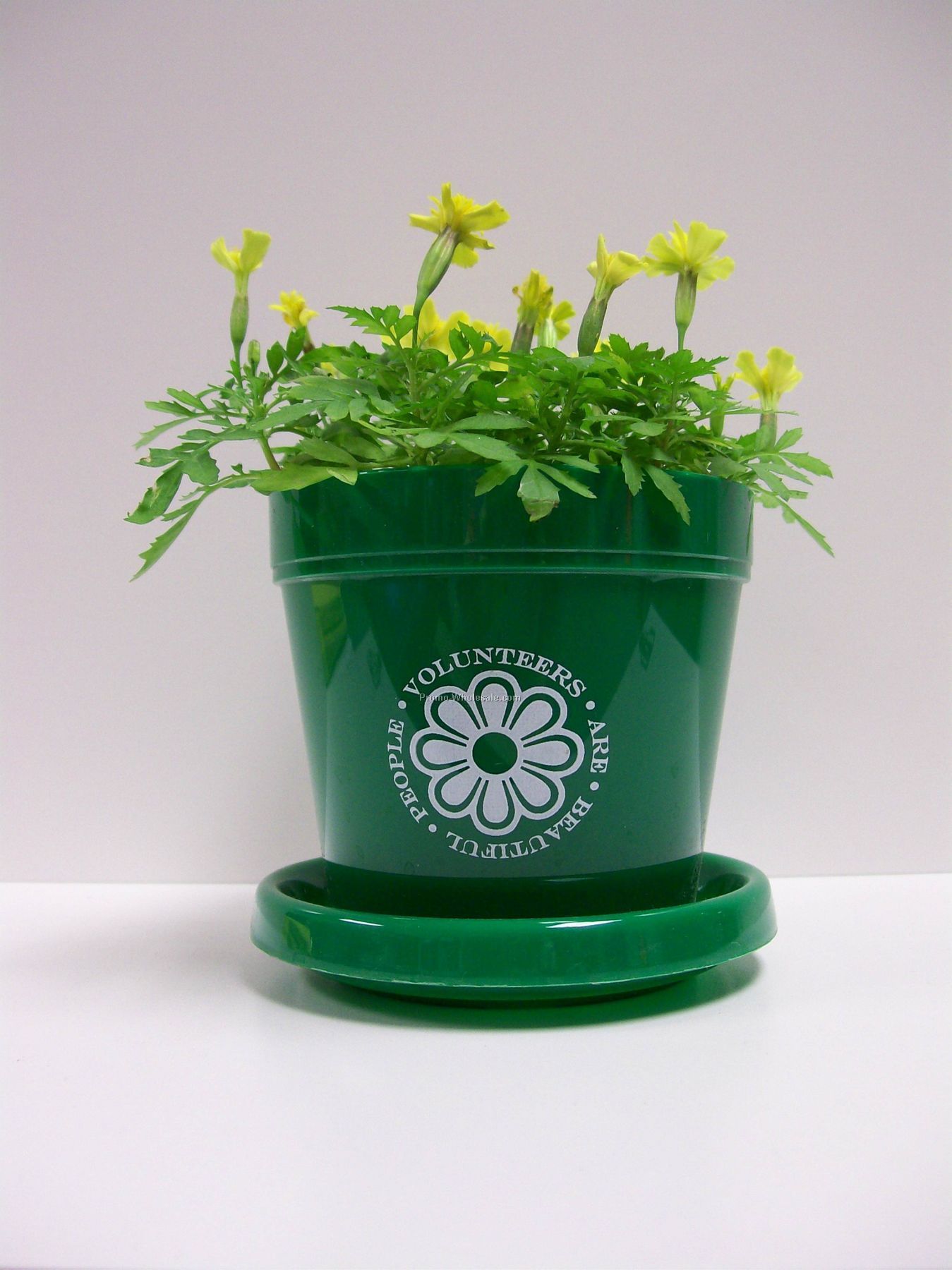 Marigold Lemon Drop Standard Logo Planter Kit 3-1/2"x3-3/4" (2 Color)