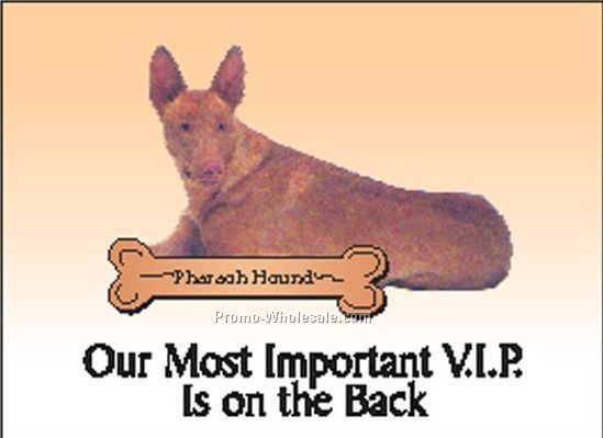 Pharaoh Hound Rectangle Photo Hand Mirror (2-1/2"x3-1/2")