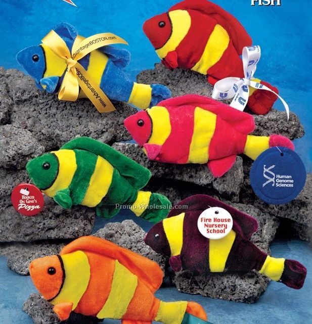 Q Group Fish Assortment (6")