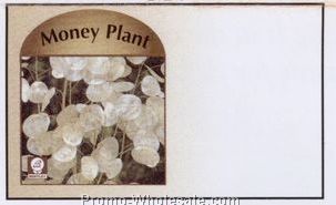 4"x6-1/2" Money Plant Bentley Self Mailer Seed Envelopes (Imprinted)