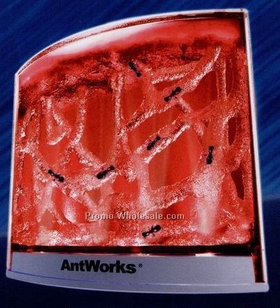 Antworks Illuminated Combo Set W/ Red LED Light
