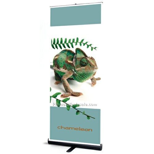 Banner And Stand Set - 2' X 8'