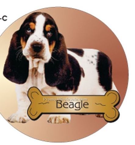 Beagle Acrylic Coaster W/ Felt Back