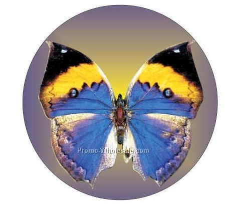 Blue & Black Butterfly Badge W/ Metal Pin (2-1/2")