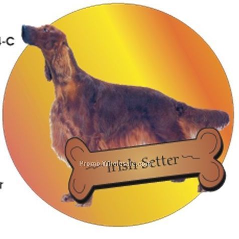 Irish Setter Acrylic Coaster W/ Felt Back