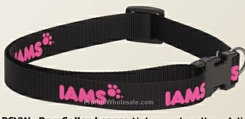 Large Dog Collar