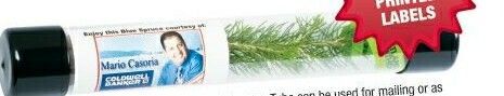 Live Conifer Evergreen Tree Seedling In Tube Package W/Black Caps