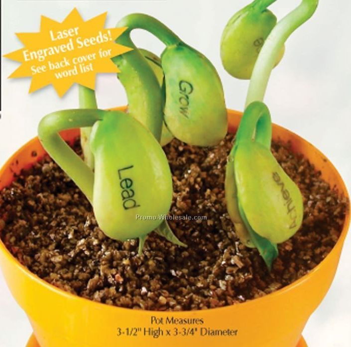 Magic Bean Planter Kits 3-1/2" (No Imprint)