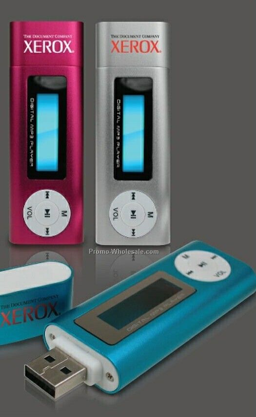 Mp3 Player And USB Hard Drive