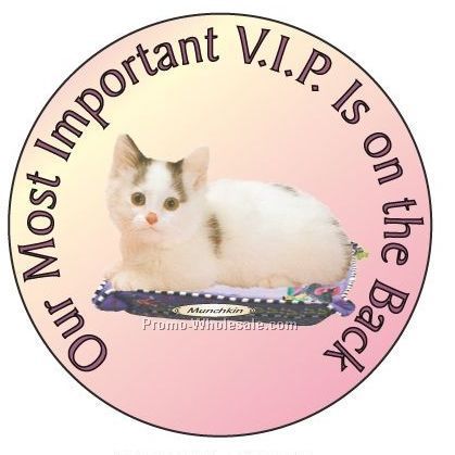 Munchkin Cat Round Hand Mirror W/ Full Mirror Back (2-1/2")