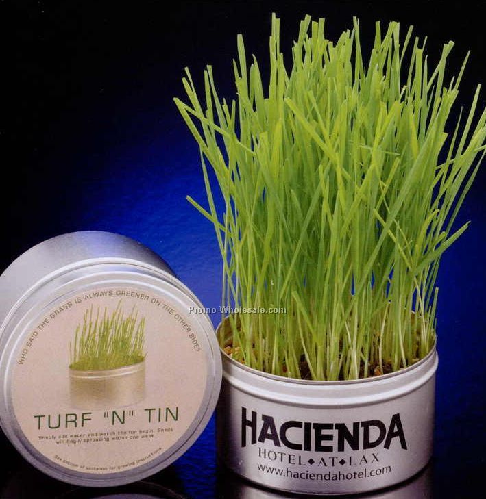 Turf "n" Tin 16 Oz. Wheat Grass Growing Tin
