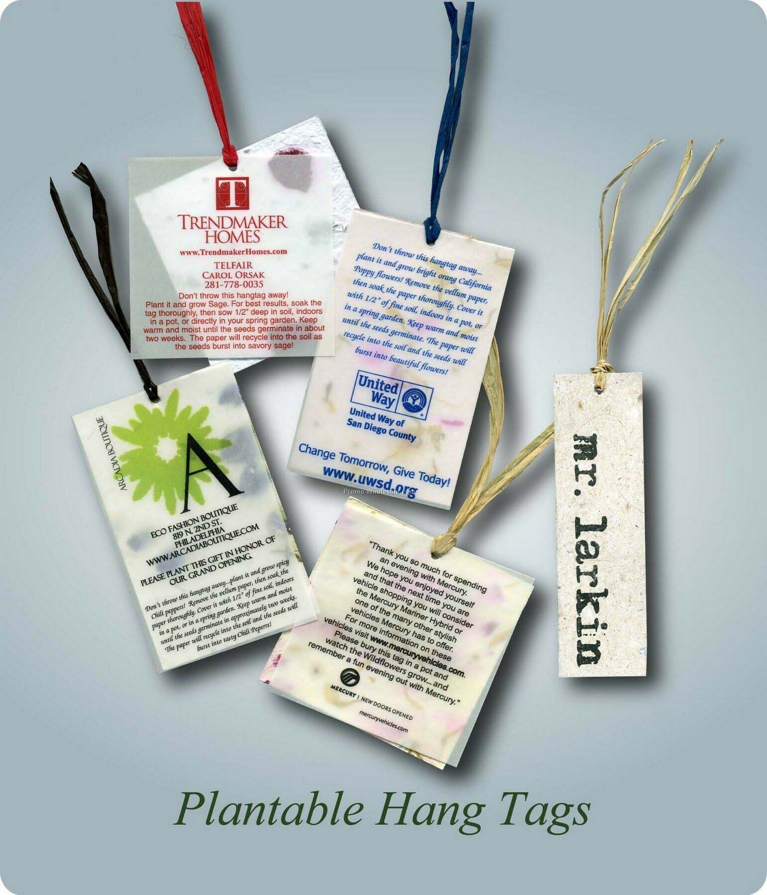 2-1/2"x4" Plantable Seed Hang Tag