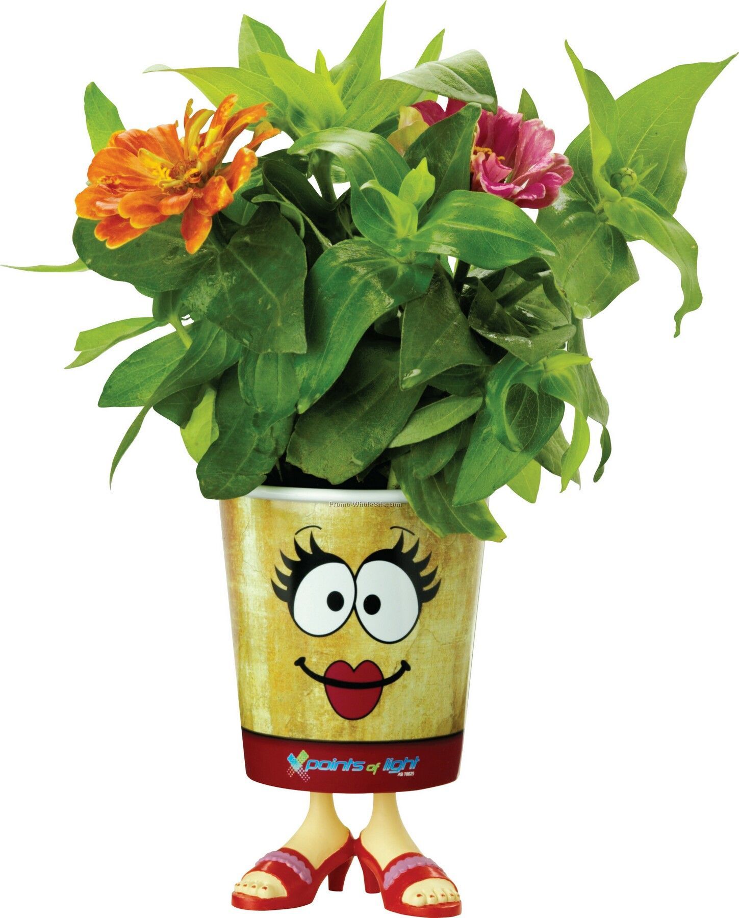 Grow Cups