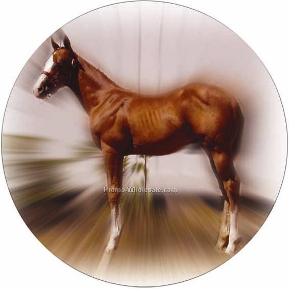 Photo Mylar Insert - 2" Horse