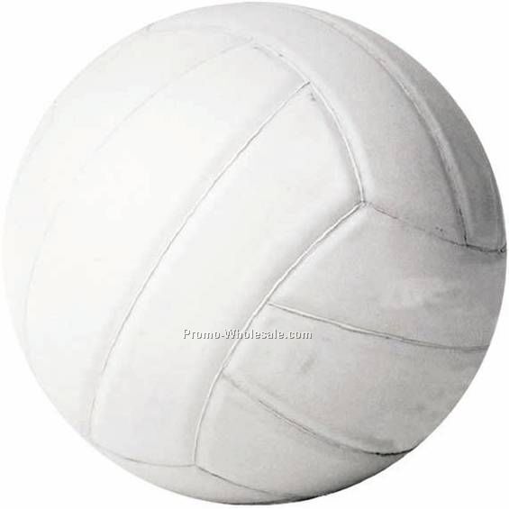 Photo Mylar Insert - 2" Volleyball