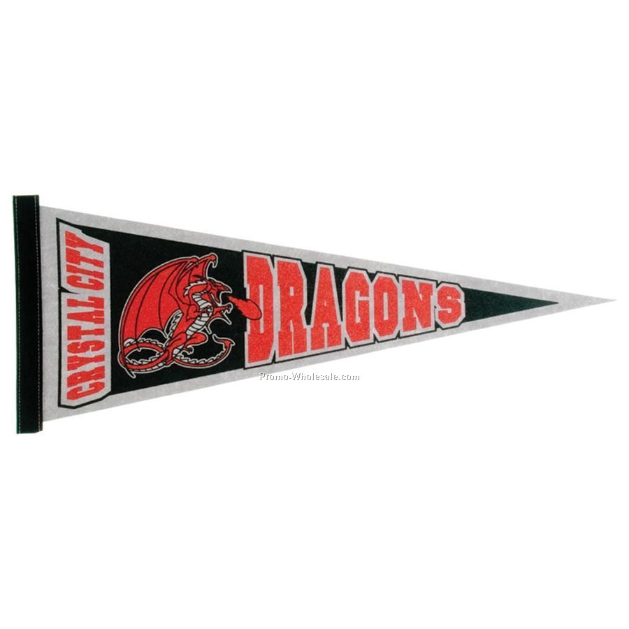 9"x24" Pennant