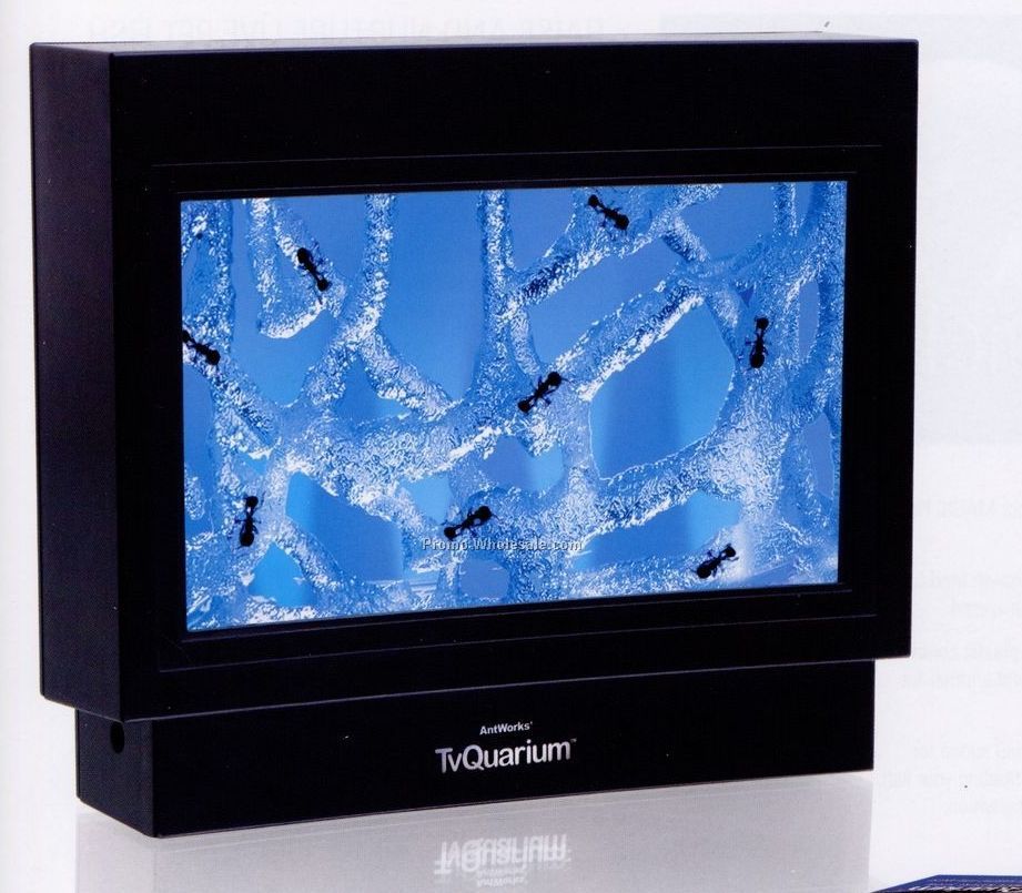 Antworks Tvquarium W/ 110v