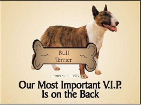 Bull Terrier Photo Hand Mirror W/ Full Back Mirror (3-1/8"x2-1/8")