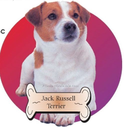 Jack Russell Terrier Acrylic Coaster W/ Felt Back