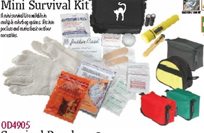 Mini Survival Kit