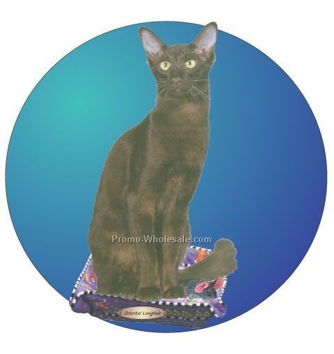 Oriental Longhair Cat Acrylic Coaster W/ Felt Back