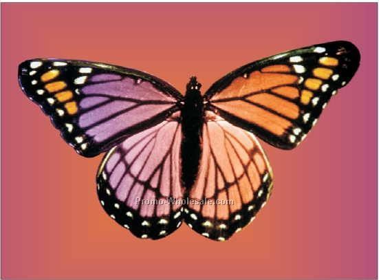 Purple & Pink Butterfly Badge W/ Metal Pin (2-1/2"x3-1/2")