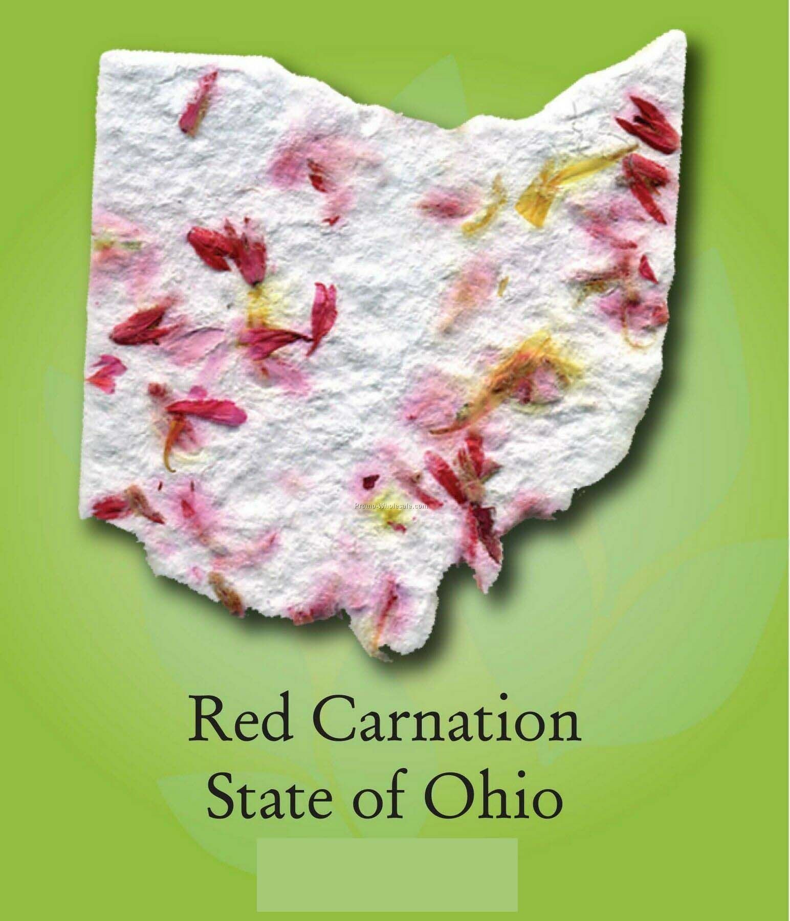 Red Carnation State Of Ohio