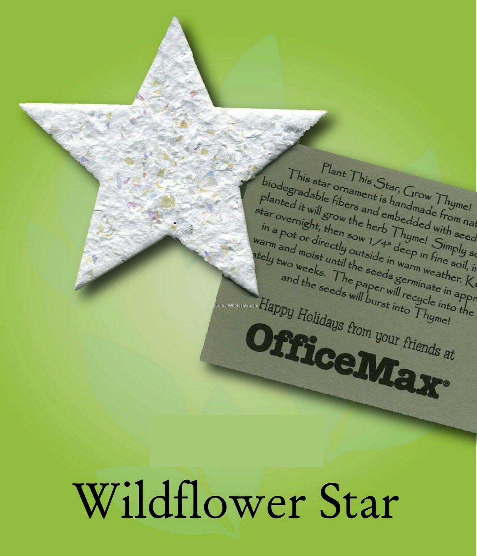 Wildflower Star Ornament W/ Embedded Seed