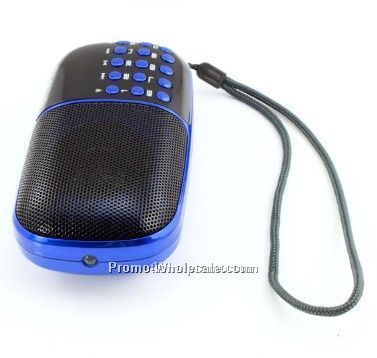 New Style Portable Radio for the aged, card plug-in speaker