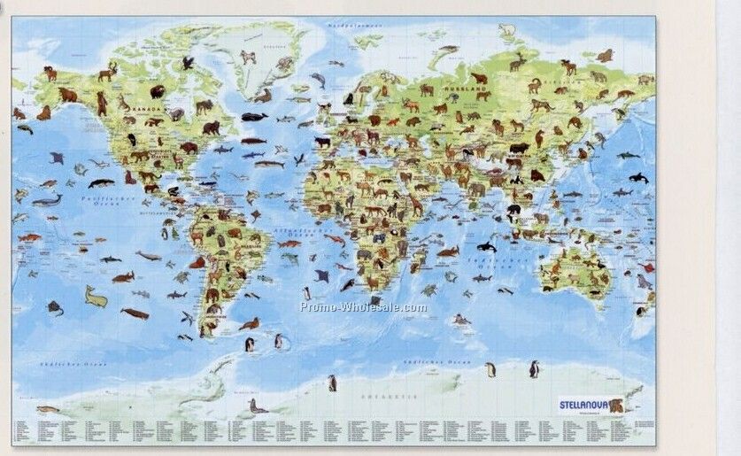 49"x35" Animal Poster Map