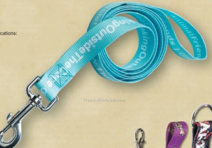 63"x1" Pet Leash