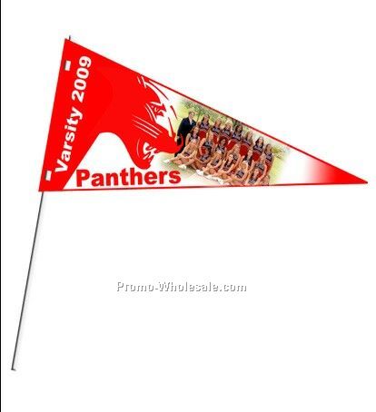 7" X 16" Sport Pennant