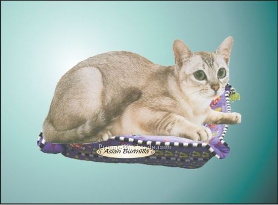Asian Burmilla Cat Badge W/ Metal Pin (2-1/8"x3-1/8")