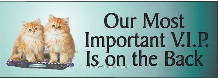 Chinchilla Cat Panoramic Photo Hand Mirror