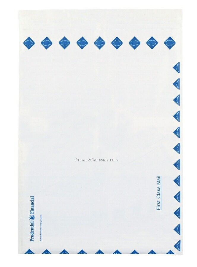 Co-extruded Mailer Envelope (10"x13"+3")