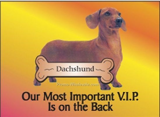 Dachshund Rectangle Photo Hand Mirror (2-1/2"x3-1/2")