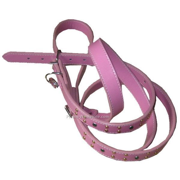 Dot Stud Leash & Collar Set - New