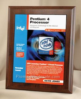 Four Color Process Rectangle Plaque W/ Gold Tone Plate (5"x7")