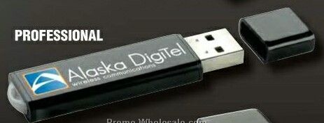 Professional USB 2.0 Flash Drive (256 Mb)